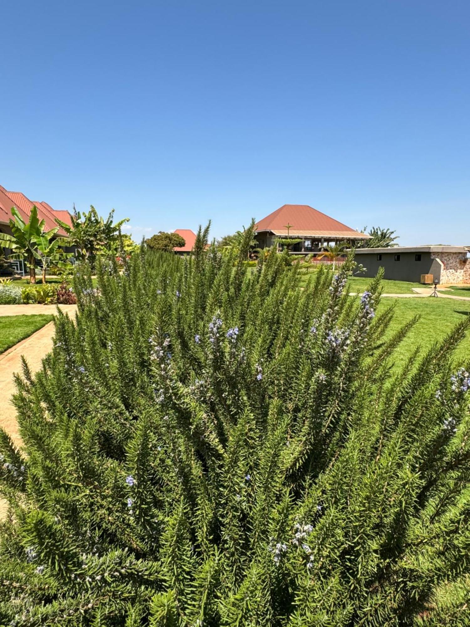 Heart And Soul Lodge Karatu Exterior photo