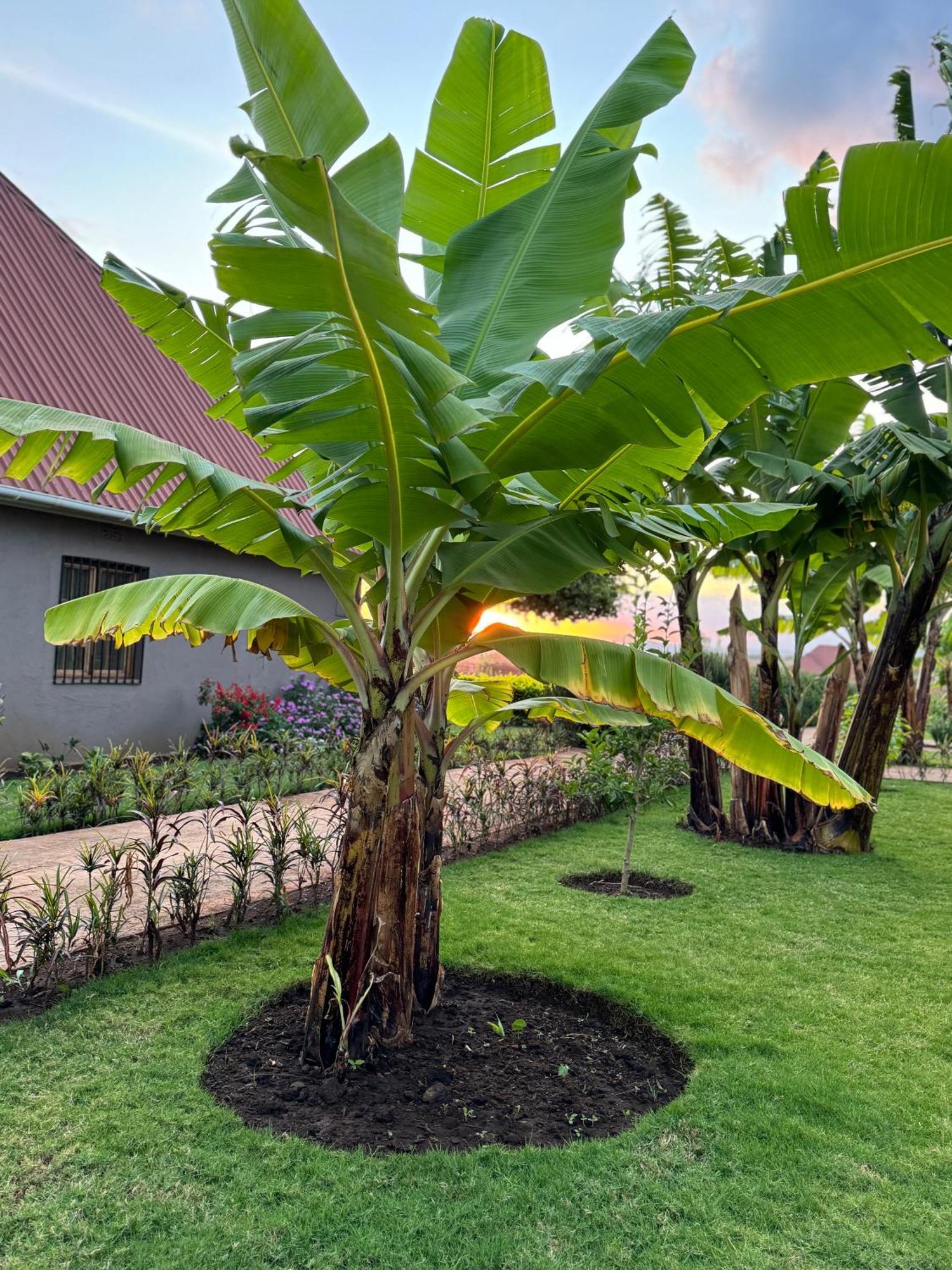 Heart And Soul Lodge Karatu Exterior photo
